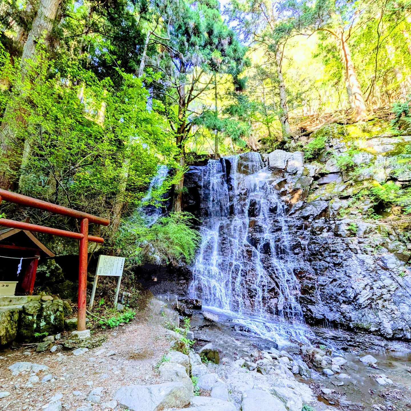 涼の音を求めて——母の白滝神社へ