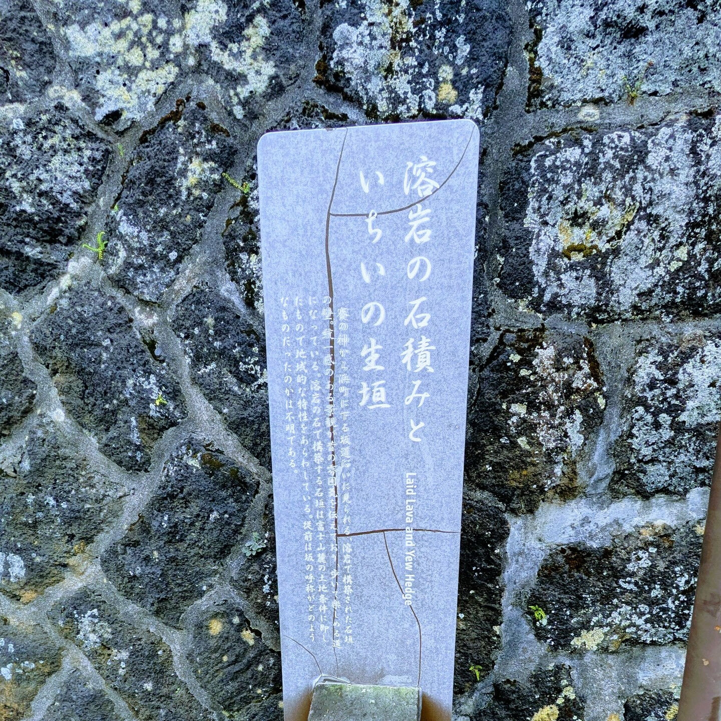 河口湖で街歩き、溶岩巡りと冨士山発見！