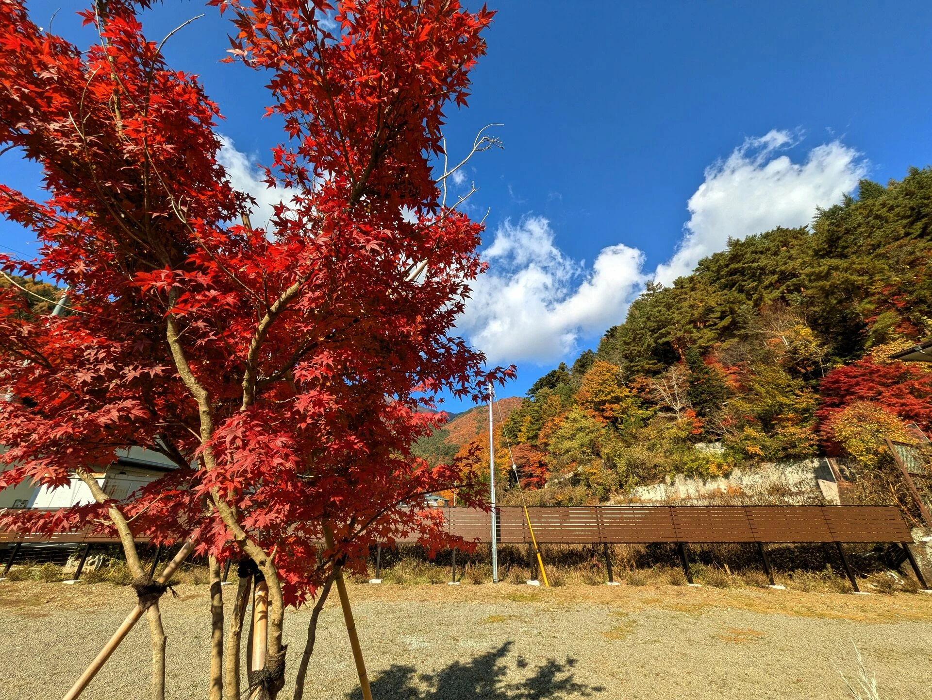 ②PXL_20251115_014310626
