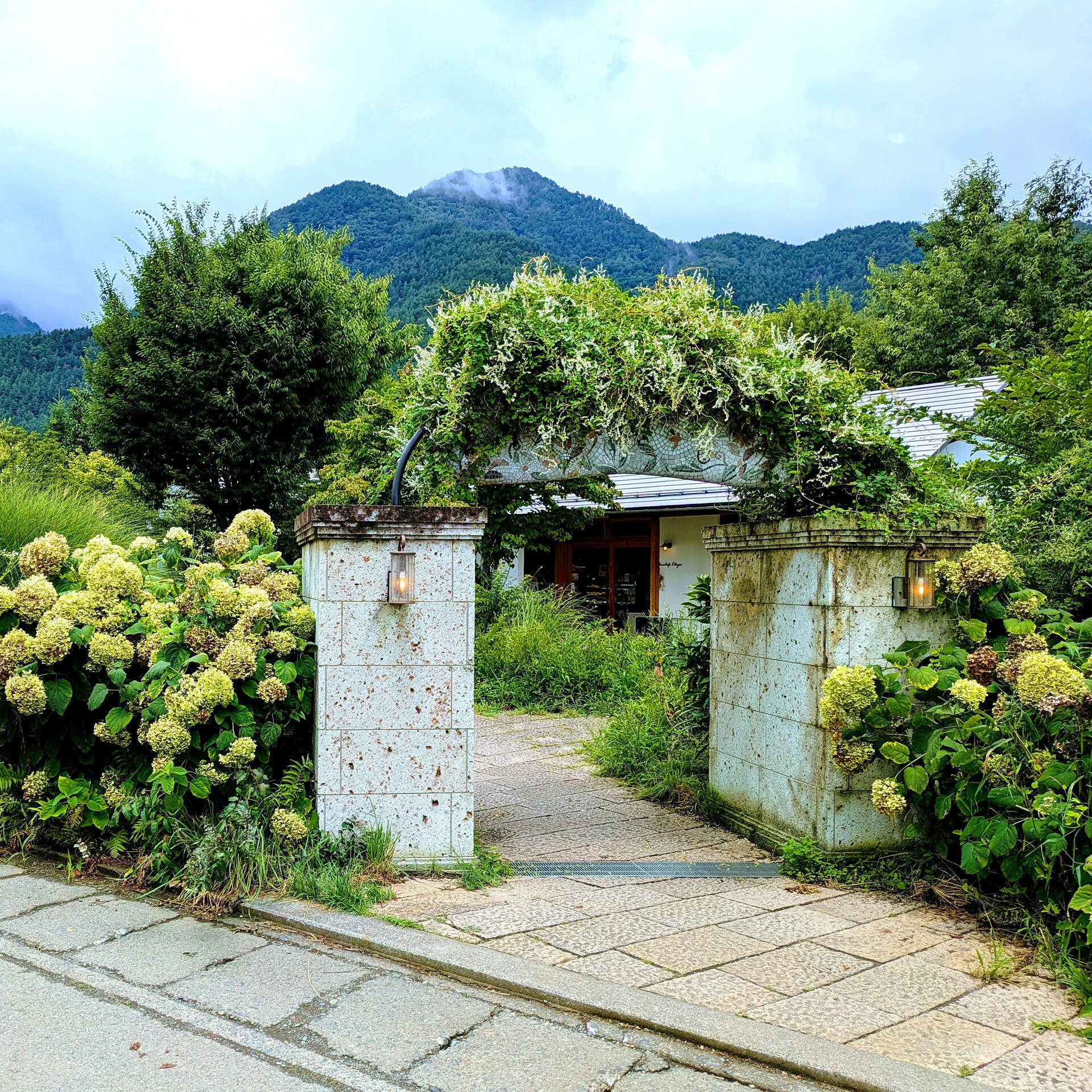季節ごとに訪れたくなる、大石公園と富士大石ハナテラス🌿🌸