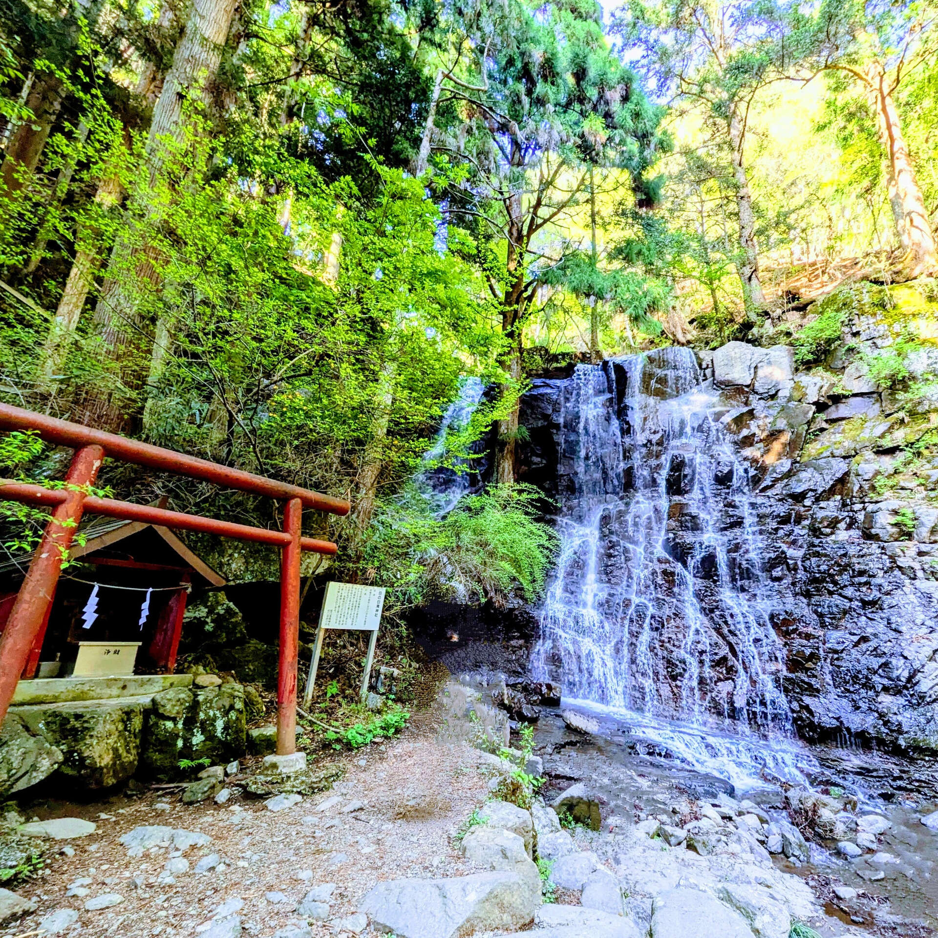 ―夏の疲れを、自然の中でリセット― 🌿💧