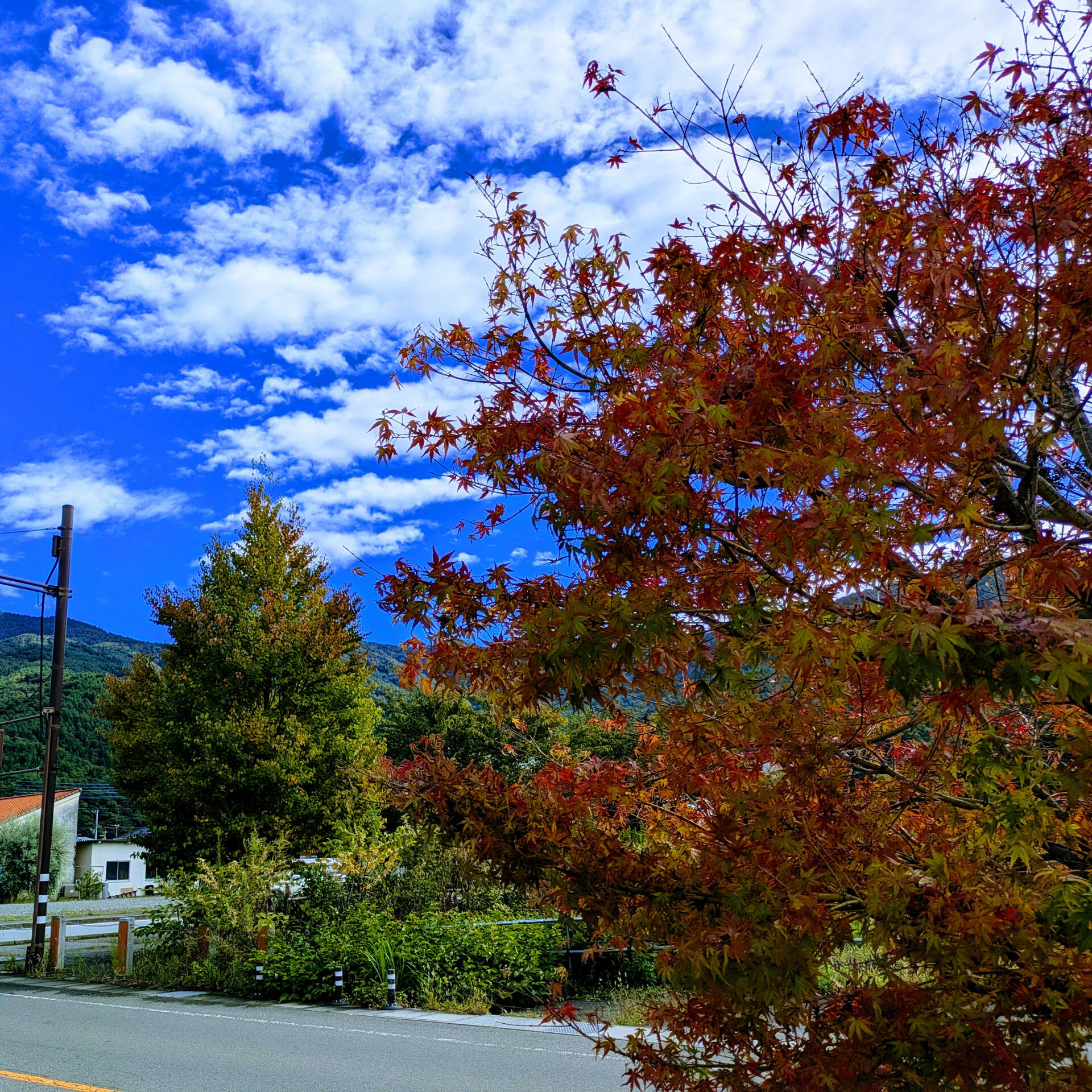 河口湖で過ごす穏やかな朝🍃
